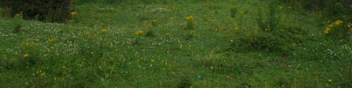 Photo "Grazing land near Wyre Hall Farm" by Glyn Drury (Creative Commons Attribution-Share Alike 2.0) / Cropped from original