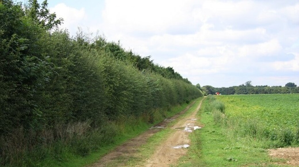 Photo "Branston and Mere" by Richard Croft (CC BY-SA) / Cropped from original