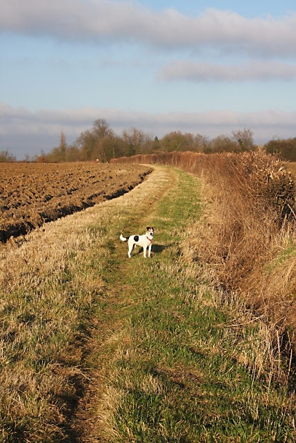 Photo "Lawshall" by Bob Jones (CC BY-SA) / Cropped from original