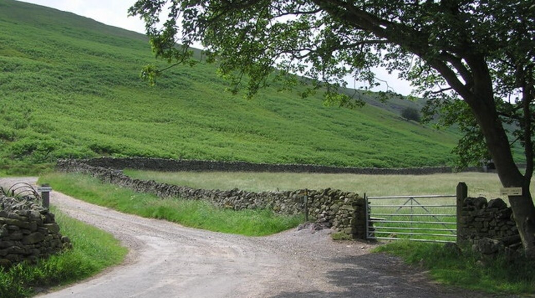 Photo "Marske" by Hugh Mortimer (CC BY-SA) / Cropped from original