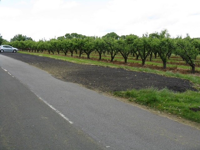 Foto “Holt” tomada por Whatlep (CC BY-SA); recorte de la original