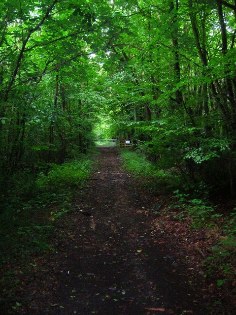 Brotherhood Woods Following the footpath towards the gate from the A2 before the path changes direction and heads south through Fishpond Woods.