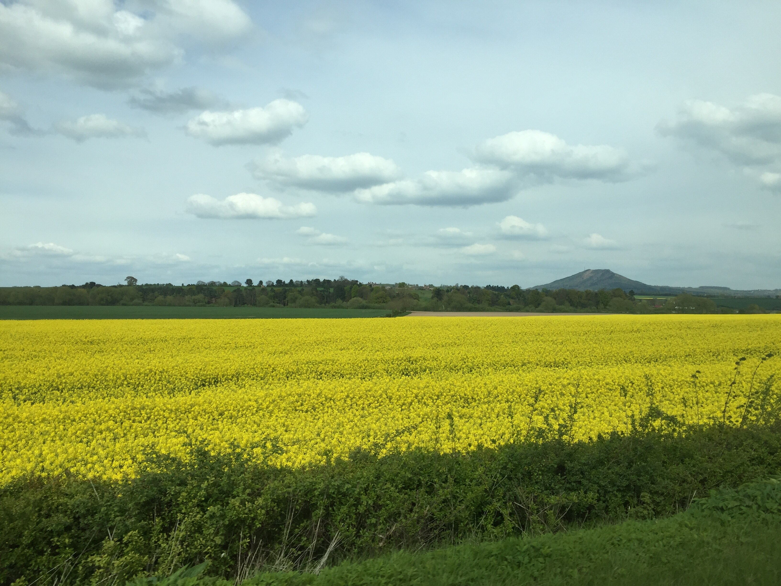 Photo "Cound" by Graham Maclachlan (CC BY-SA) / Cropped from original