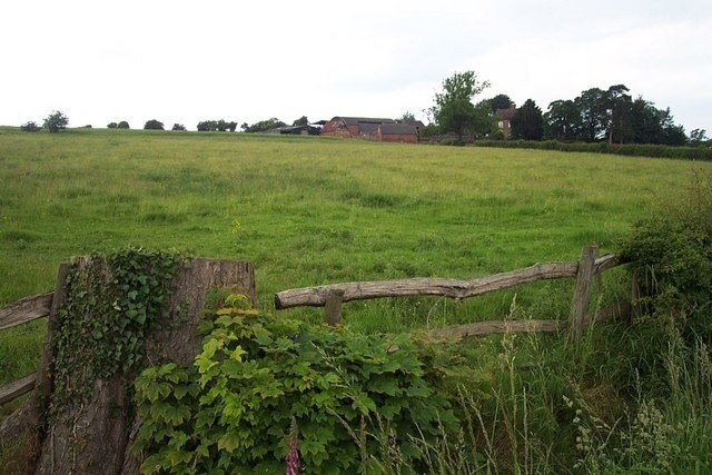 Kuva ”Blithfield” käyttäjältä Geoff Pick (CC BY-SA) / rajattu alkuperäisestä kuvasta