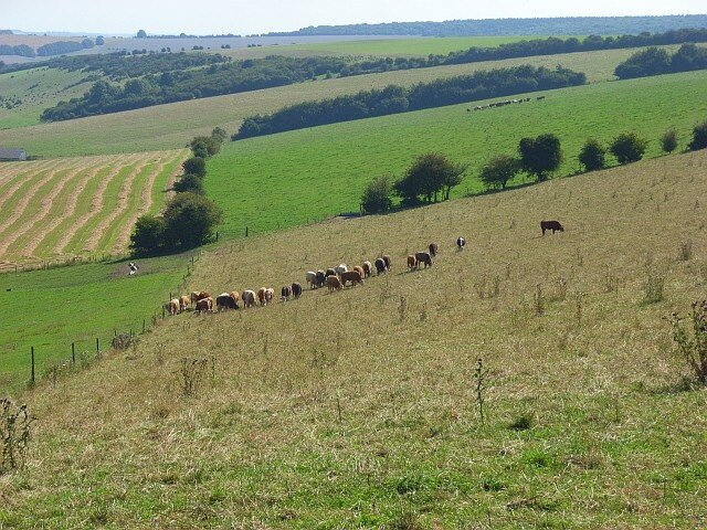 Foto „Longbridge Deverill“ von Andrew Smith (CC BY-SA)/zugeschnittenes Original
