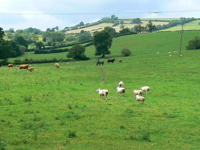 Billede "Publow" af Brian Robert Marshall (CC BY-SA) / beskåret fra det originale billede