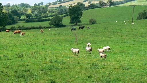 Foto „Publow“ von Brian Robert Marshall (CC BY-SA)/zugeschnittenes Original