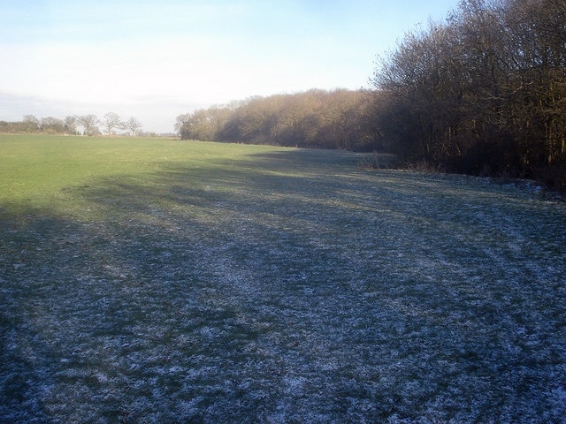 Photo "Bentley Pauncefoot" by Trevor Rickard (CC BY-SA) / Cropped from original