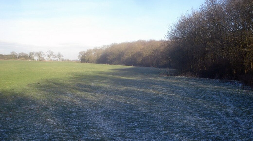 Photo "Bentley Pauncefoot" by Trevor Rickard (CC BY-SA) / Cropped from original