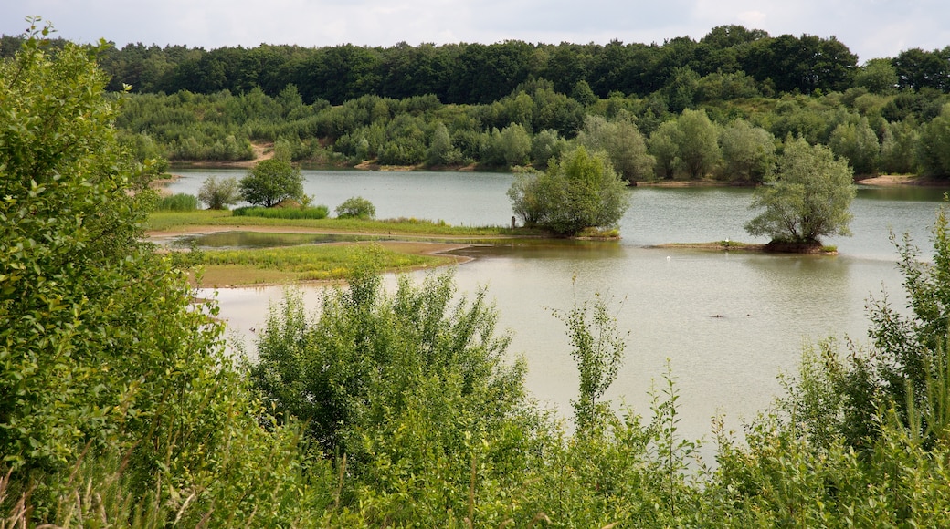 "Wedemark"-foto av Losch (CC BY-SA) / Urklipp från original