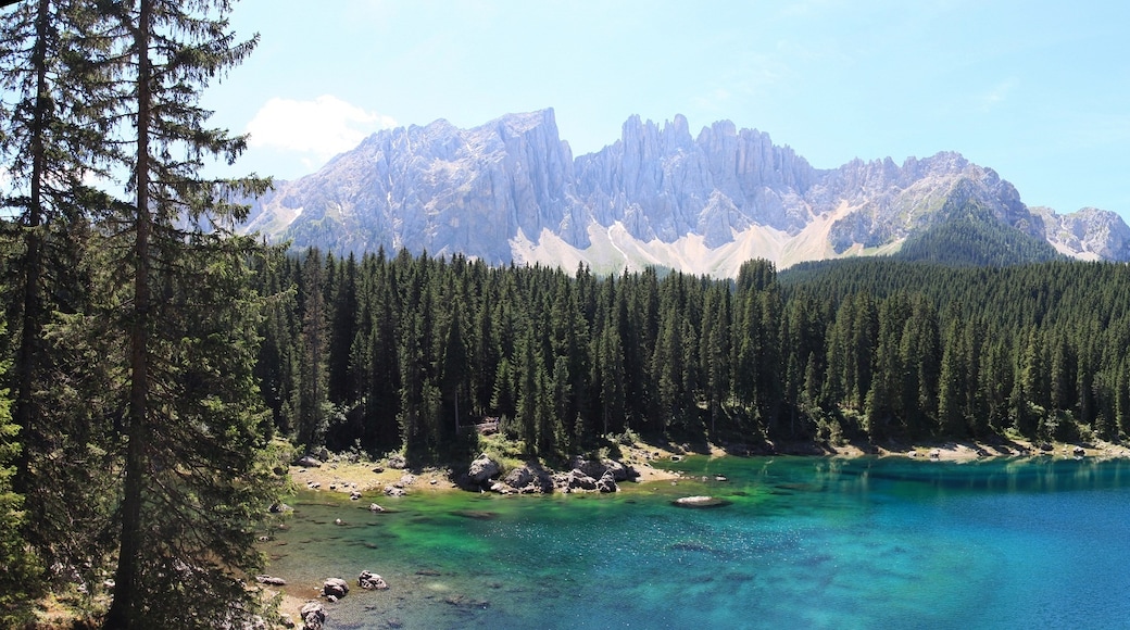 Foto "Danau Carezza" oleh adirricor (CC BY) / Dipotong dari foto asli