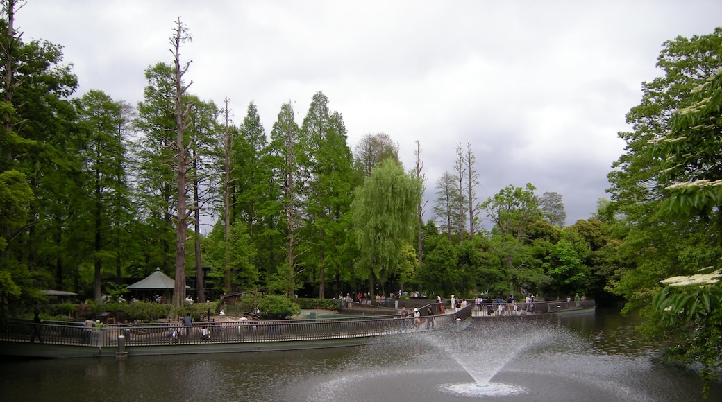 Photo "Inokashira Park" by hasano_jp (CC BY) / Cropped from original