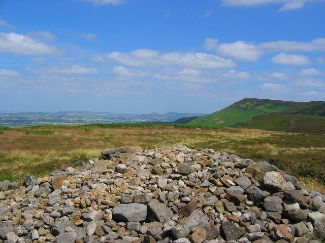 Foto “Faceby” tomada por Stephen Horncastle (CC BY-SA); recorte de la original