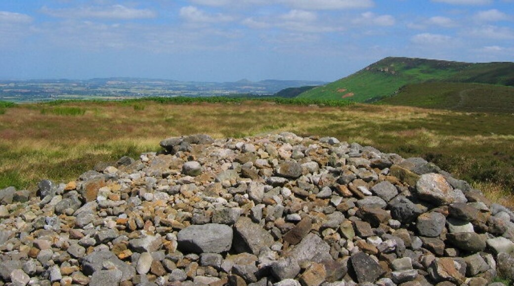 Billede "Faceby" af Stephen Horncastle (CC BY-SA) / beskåret fra det originale billede