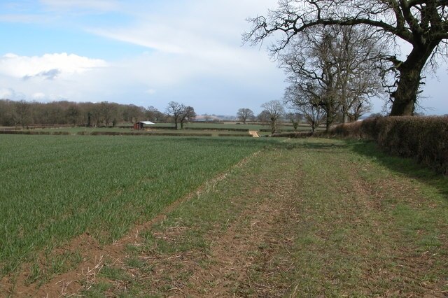 Foto „Icomb“ von Philip Halling (CC BY-SA)/zugeschnittenes Original