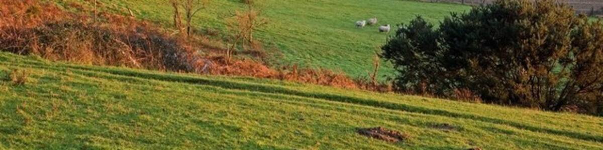 Photo "West Blagdon Farm" by Simon Barnes (Creative Commons Attribution-Share Alike 2.0) / Cropped from original
