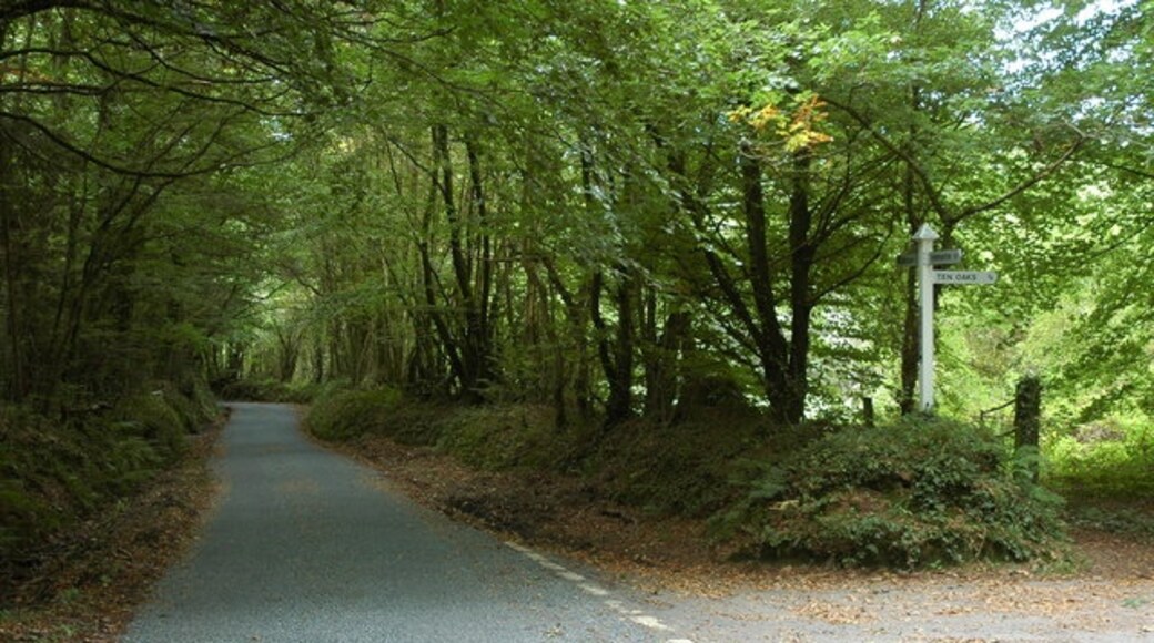 Billede "Roborough" af Philip Halling (CC BY-SA) / beskåret fra det originale billede