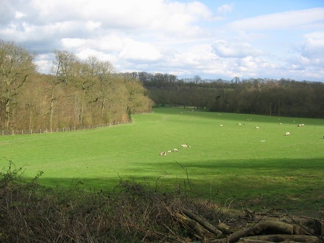 Tanhouse Wood and Fields - Toys Hill This area consists of woodlands interdispersed with farmland. Tanhouse Wood can be seen along the left boundary of this photograph.