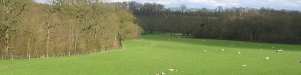 Photo "Tanhouse Wood and Fields - Toys Hill This area consists of woodlands interdispersed with farmland. Tanhouse Wood can be seen along the left boundary of this photograph." by Nikki Mahadevan (Creative Commons Attribution-Share Alike 2.0) / Cropped from original