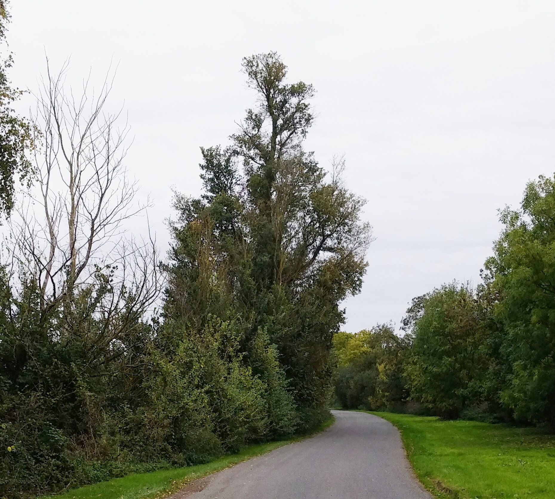 Foto “Easton” tomada por Tom elm (CC BY-SA); recorte de la original