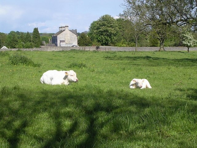 Kuva ”Rowland” käyttäjältä Pam Nash (CC BY-SA) / rajattu alkuperäisestä kuvasta