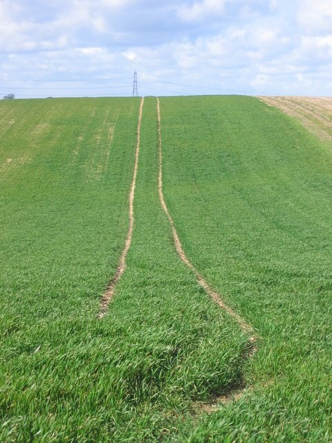 Photo "St Ippolyts" by Jo Hennessey (CC BY-SA) / Cropped from original