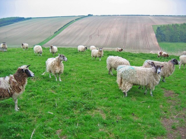 "Heslerton"-foto av Stephen Horncastle (CC BY-SA) / Urklipp från original