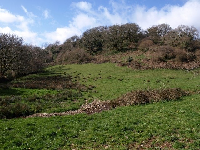 Boreston Copse. Seen from the green lane mentioned in 1242378, just west of the bridge. The Boreston Brook can be seen some 25 metres away flowing through the middle of the field. The valley it joins on the left of the copse looks rather larger.