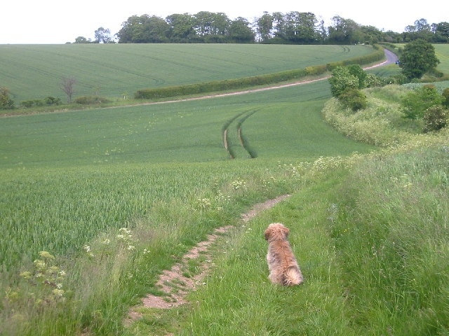 Kuva ”Wallington” käyttäjältä Paul Dixon (CC BY-SA) / rajattu alkuperäisestä kuvasta