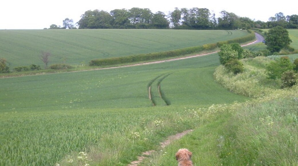 Billede "Wallington" af Paul Dixon (CC BY-SA) / beskåret fra det originale billede