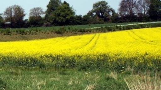 Ảnh "Oberacker" của fotogoocom (CC BY) / Cắt từ ảnh gốc