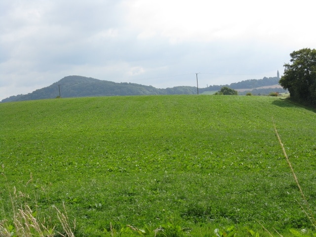 Hillside At Fartown Farm Abberley's well-known clocktower is just visible on the right-hand skyline.