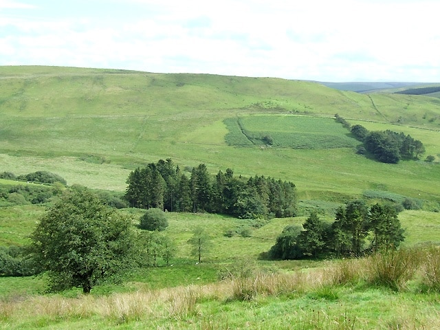 East across Nant Cynydd, Ceredigion