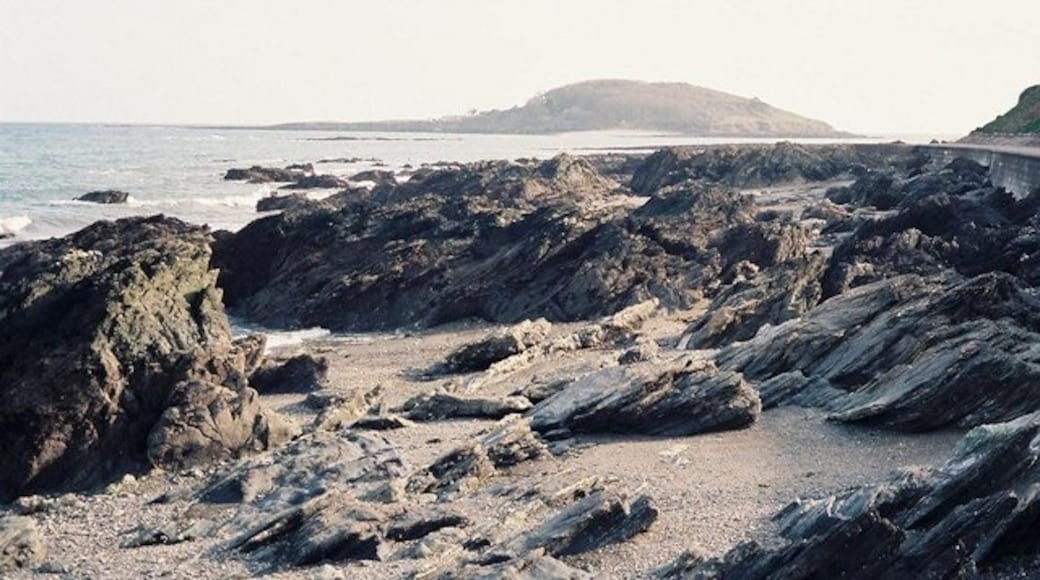 ภาพ "หาดแฮนนาฟอร์" โดย Chris Downer (CC BY-SA) / ตัดภาพจากขนาดต้นฉบับ