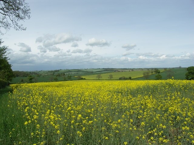 Foto „Kelmarsh“ von Richard Williams (CC BY-SA)/zugeschnittenes Original