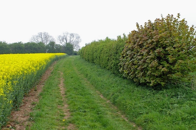 The Viking Way: The Viking Way long distance footpath crosses the northeast corner of square TA0117 near Fox Covert Plantation.