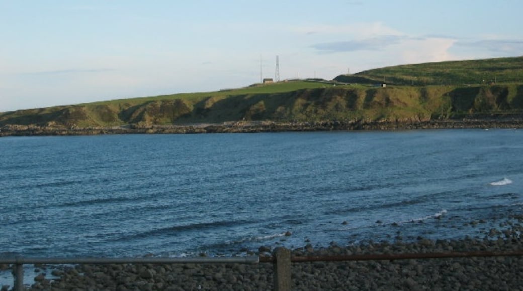 « Torry», photo de Lizzie (CC BY-SA) / rognée de l’originale