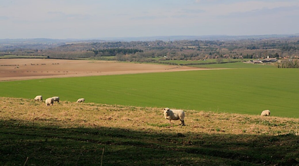 Photo "Grimstead" by Peter Facey (CC BY-SA) / Cropped from original