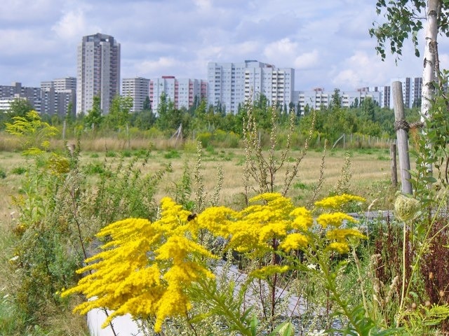 Berlin - Gropiusstadtblick (Prospect of Gropius City)