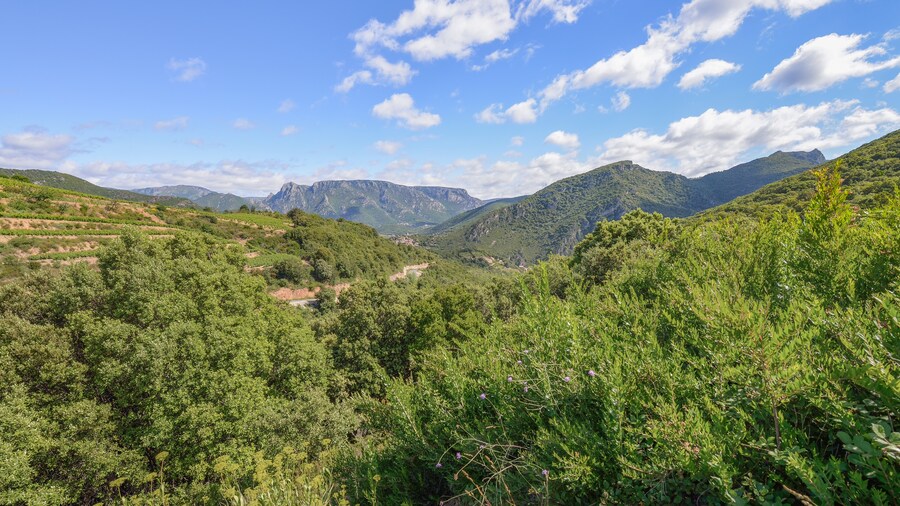 Photo "In the center, the RD 177 (Departemental Road), the village of Vieussan and in the background the Massif du Caroux. Vieussan, Hérault, France. Haut-Languedoc Regional Natural Park." by Christian Ferrer (Creative Commons Attribution-Share Alike 3.0) / Cropped from original