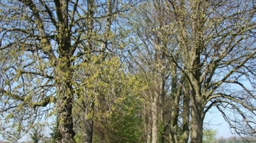 Kuva ”Suuri Steeping” käyttäjältä Richard Croft (CC BY-SA) / rajattu alkuperäisestä kuvasta