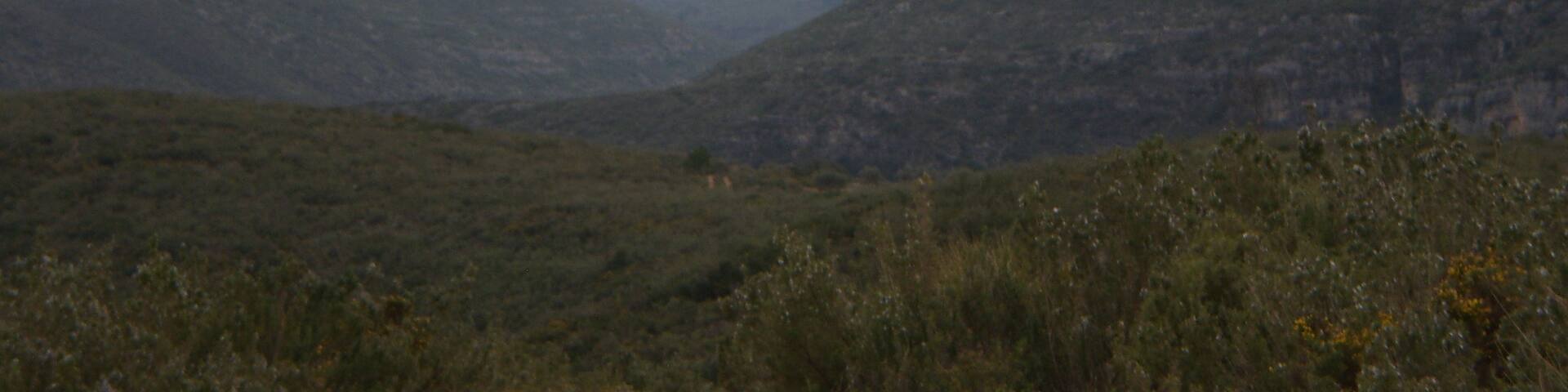 Millares, Valencian Community, Spain