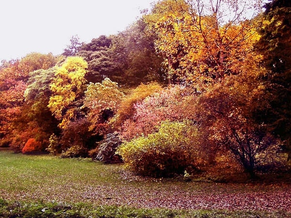 Photo "Snape with Thorp" by Anthony Harrison (CC BY-SA) / Cropped from original