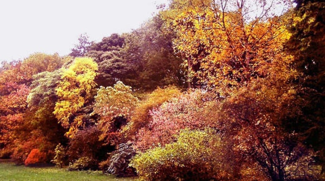 Foto “Snape con Thorp” tomada por Anthony Harrison (CC BY-SA); recorte de la original