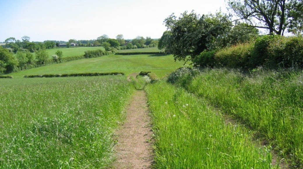 Photo "Brandsby-cum-Stearsby" by Stephen Horncastle (CC BY-SA) / Cropped from original