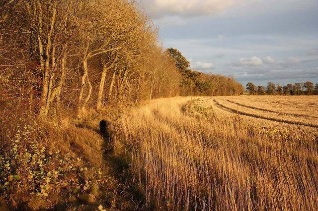 Foto "Ashby de la Launde y Bloxholm" por Richard Croft (CC BY-SA) / Recortada de la original