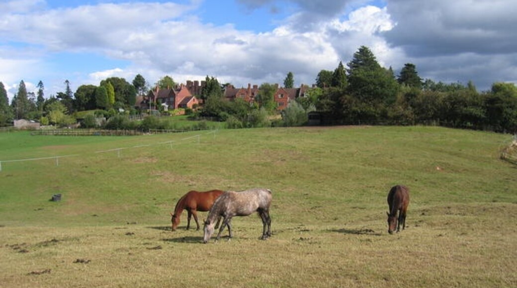 Foto “Westwood” tomada por David Stowell (CC BY-SA); recorte de la original