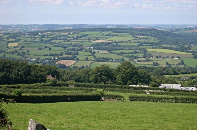 The Northern Slope of Hingston Down