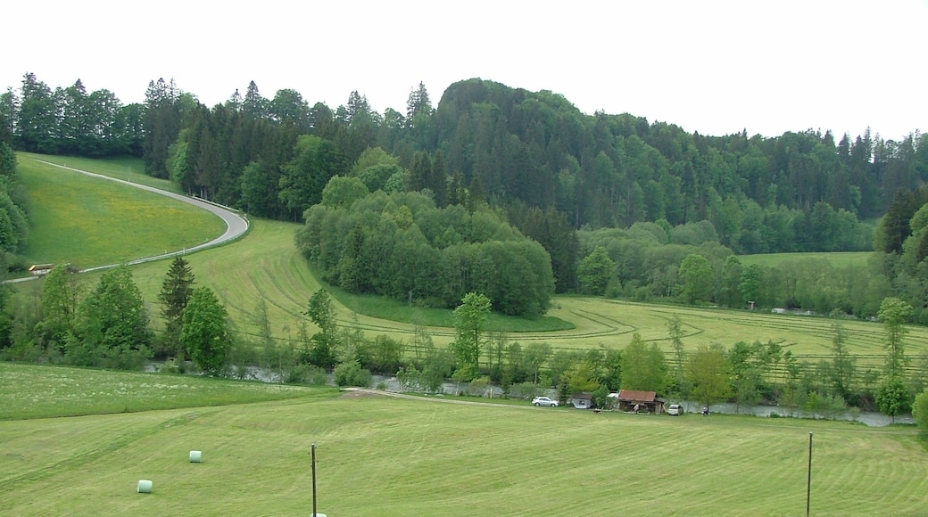 Wald, Bavaria, Germany