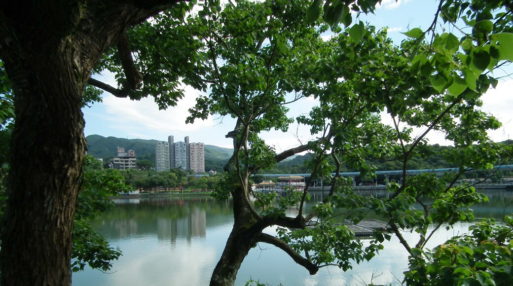 lienyuan lee 님의 "오대호 공원" 사진(CC BY) / 원본에서 잘라냄